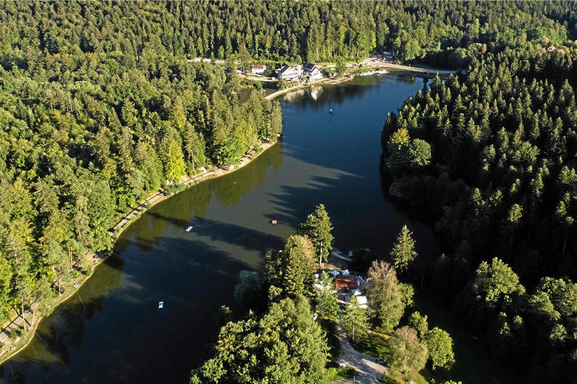 Der Ebnisee ist mit über sechs Hektar Wasseroberfläche der größte See im Schwäbischen Wald.