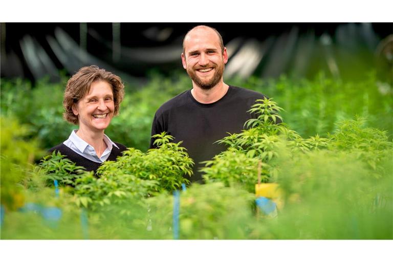 Forschen zu Cannabis: Professorin Simone Graeff-Hönninger und Doktorand Christian Büser von der Uni Hohenheim