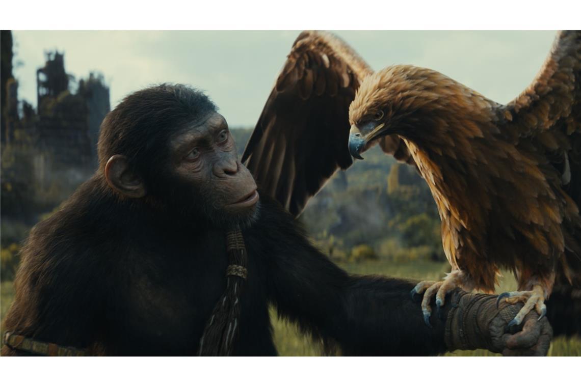 Noa (gesprochen von Owen Teague) in einer Szene des Films "Planet der Affen: New Kingdom"