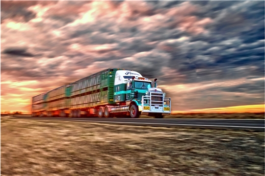 Der erste Platz in der Kategorie "In Bewegung" geht an den 17-jährigen Julian Kugler aus Althütte für sein Bild "Roadtrain on its way . . .". Bei seinem Australienbesuch fotografierte er einen Roadtrain in voller Fahrt. 