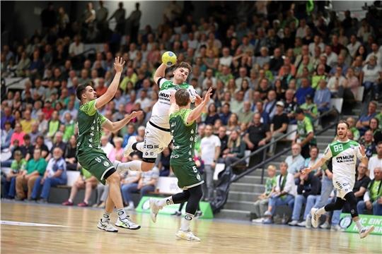 Handball, HC Oppenweiler/Backnang, Rückspiel beim HC Eintracht Hildesheim und Jubel über den Aufstieg in die 2. Bundesliga.