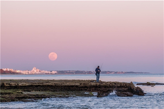 An der Algarve in Portugal ist die Sonne ist gerade untergegangen, als Christopher auf den Auslöser drückt. „Den aufsteigenden Vollmond bekommt der Angler gar nicht mit. Er ist vollkommen ins Angeln vertieft“, schreibt der Fotograf.

