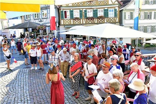 Die Stadtwette war eines der Highlights am Straßenfestsamstag. Zwar konnte Maximilian Friedrich nicht die geforderten 300 Personen in den französischen Nationalfarben auf den glühend heißen Marktplatz locken, aber die 150 Anwesenden machten das mit vollem Einsatz beim Singen der Marseillaise locker wett.