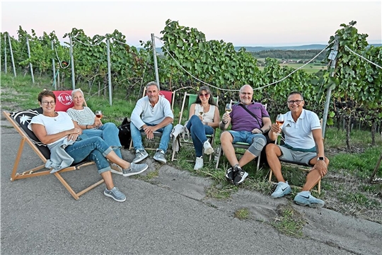 Gemütlich, gesellig genießen die Schlagerfans aus Backnang und Weissach im Tal den schönen Abend im Weinberg. Von Links: Claudia Gommel, Jutta Raissle, Reiner Gommel, Steffi Mayer, Frank Mayer und Micha Raissle. Kelter. Wein. Berg. Wandern und Geniessen rund um die Kelter in Kleinaspach. SK