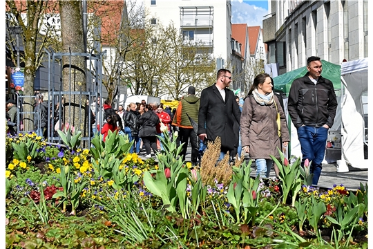 Backnanger Tulpenfrühling 2023