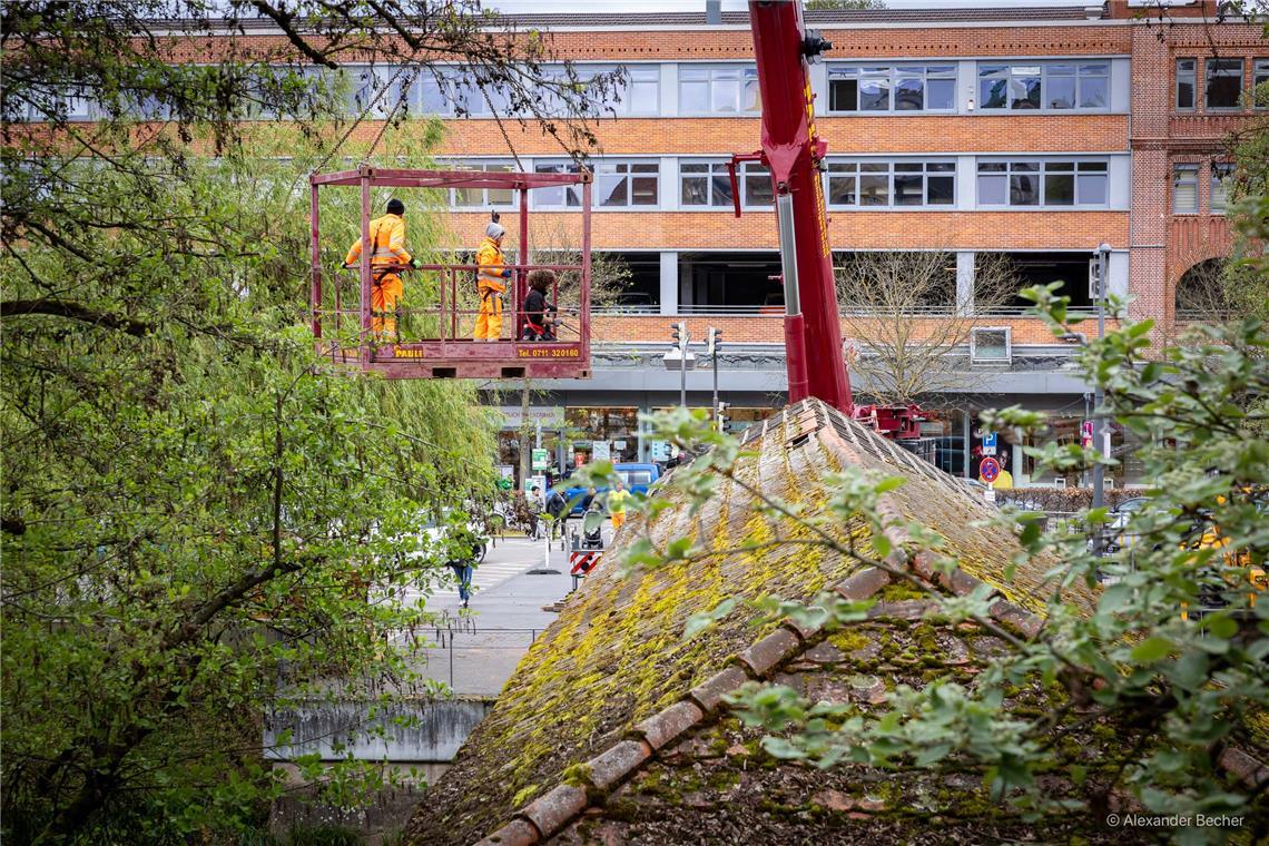 // Der überdachte Murrsteg an der Bleichwiese wird abgebaut (erster Tag 16.4.202...