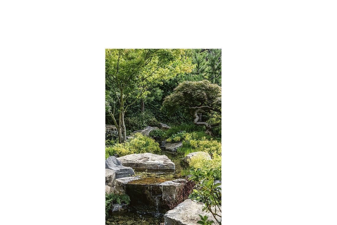 . . . ein Bachlauf mit einem kleinen Wasserfall sorgt für Sommerfrische.