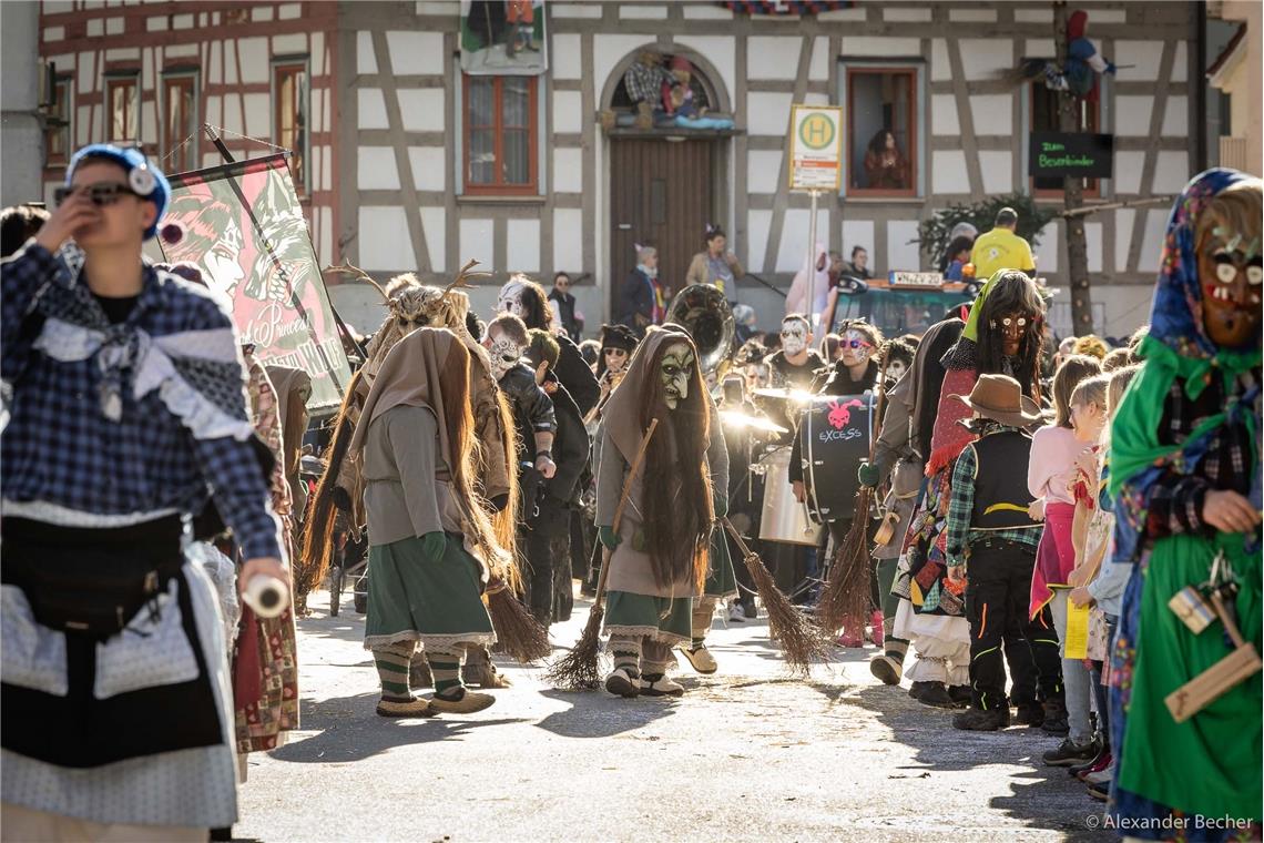 // Faschingsumzug Sulzbach an der Murr