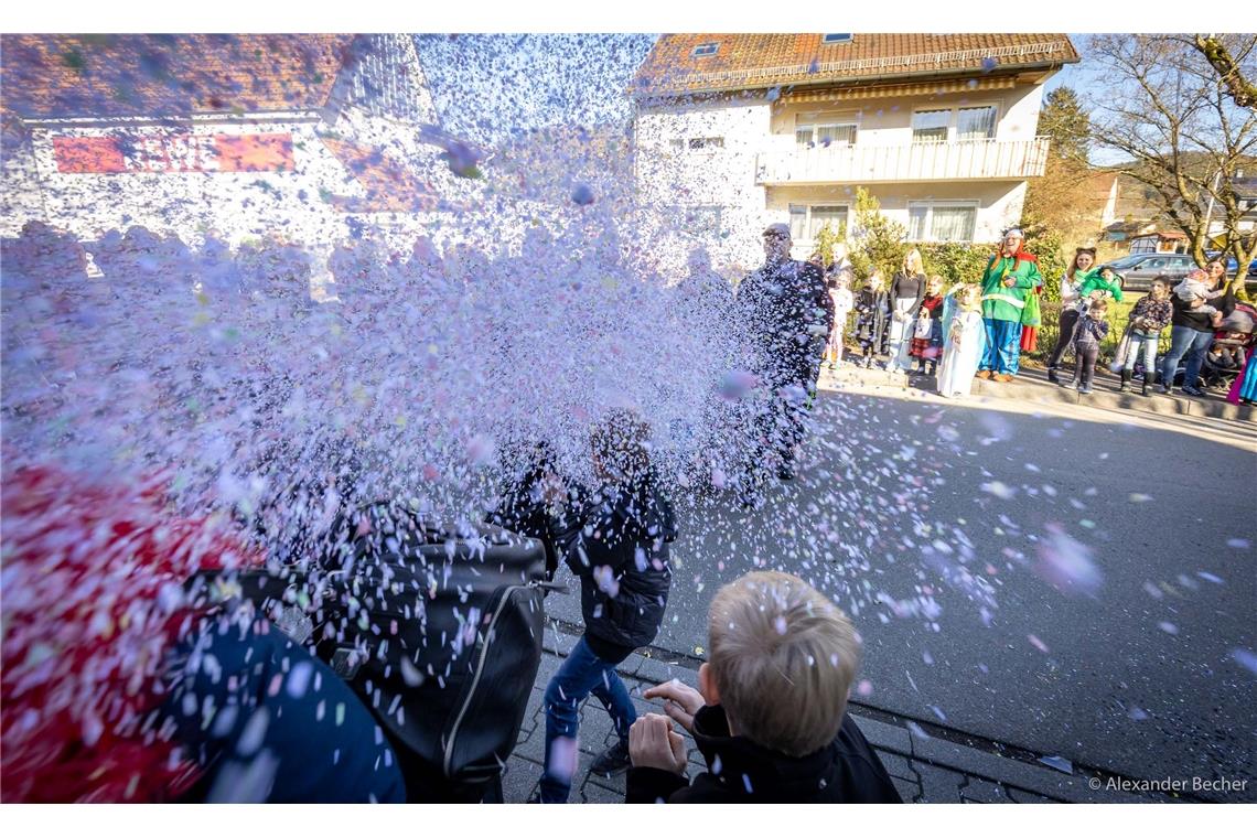 // Faschingsumzug Sulzbach an der Murr