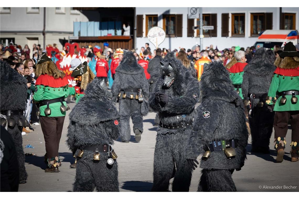 // Faschingsumzug Sulzbach an der Murr