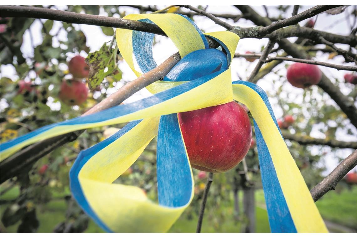 „Pflück mich“ jetzt auch in Backnang Foto: A. Becher
