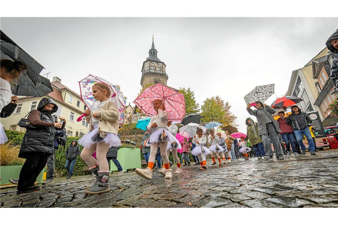 // Gänsemarkt und verkaufsoffener Sonntag in der Backnanger Innenstadt