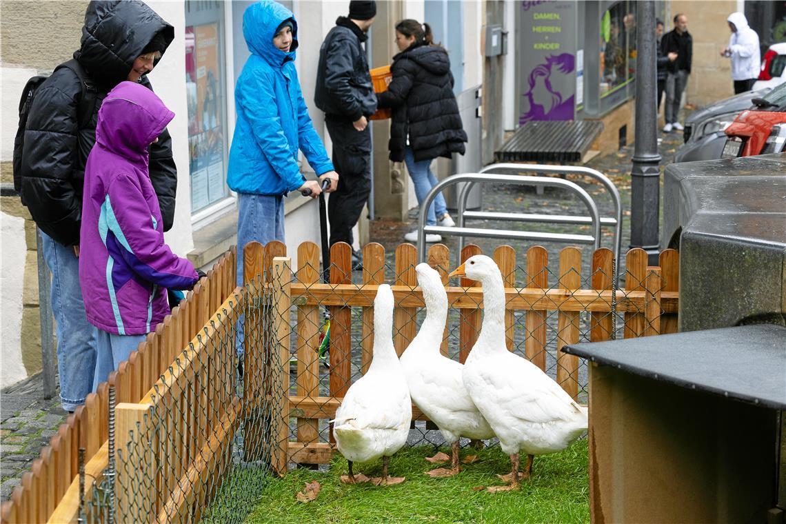 // Gänsemarkt und verkaufsoffener Sonntag in der Backnanger Innenstadt
