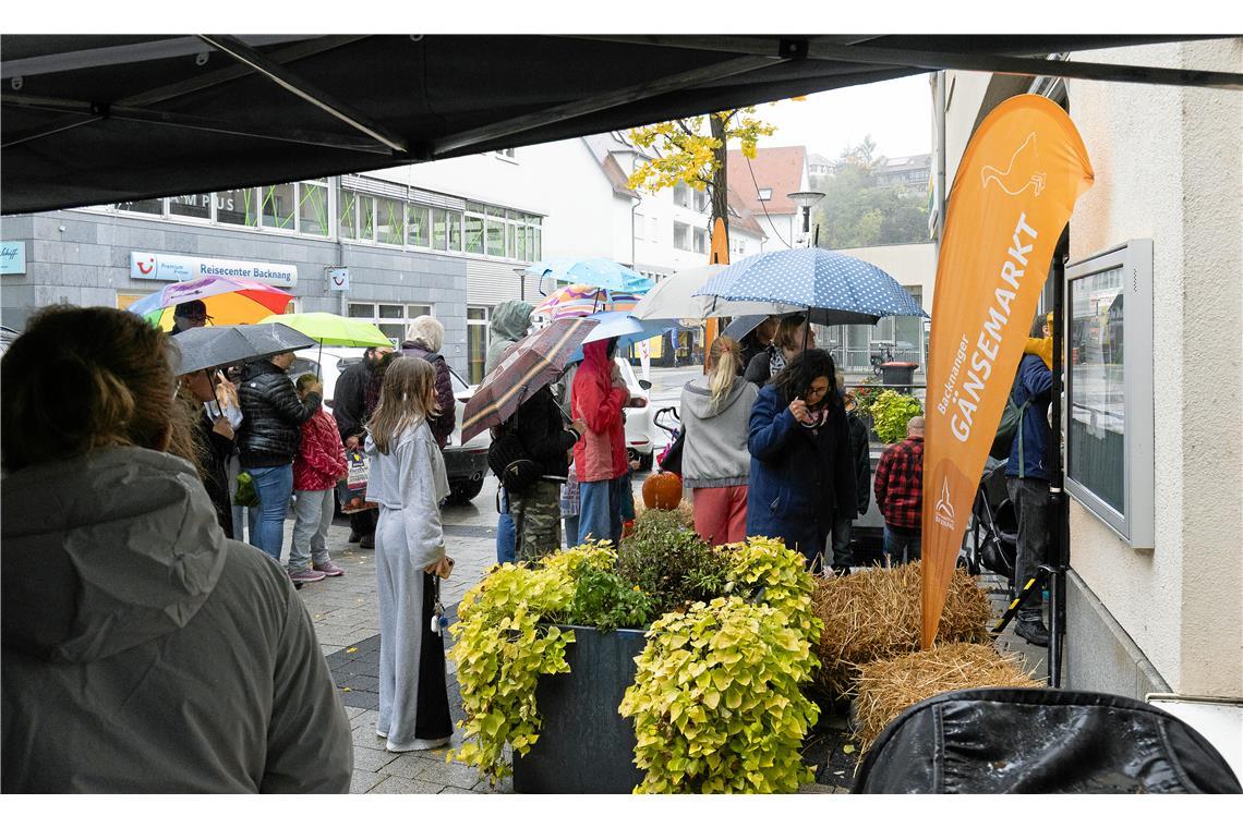// Gänsemarkt und verkaufsoffener Sonntag in der Backnanger Innenstadt