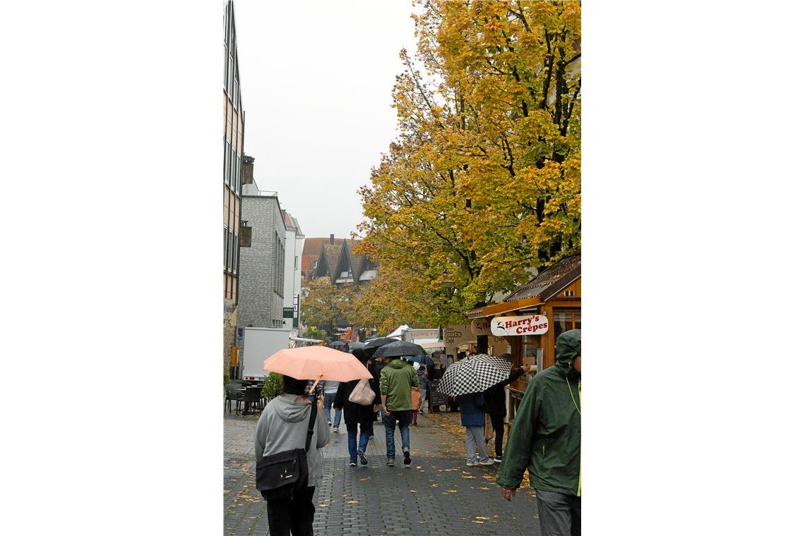 // Gänsemarkt und verkaufsoffener Sonntag in der Backnanger Innenstadt