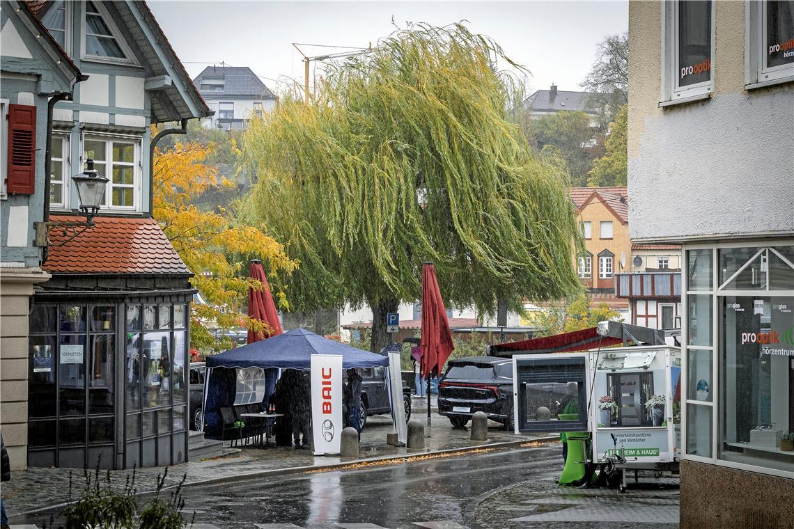 // Gänsemarkt und verkaufsoffener Sonntag in der Backnanger Innenstadt