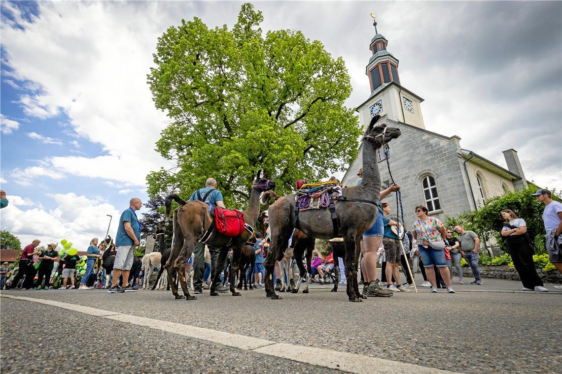 // Höhepunkt der Heimattage Althütte: Der Festumzug am Sonntag den 14.6.2026 dur...