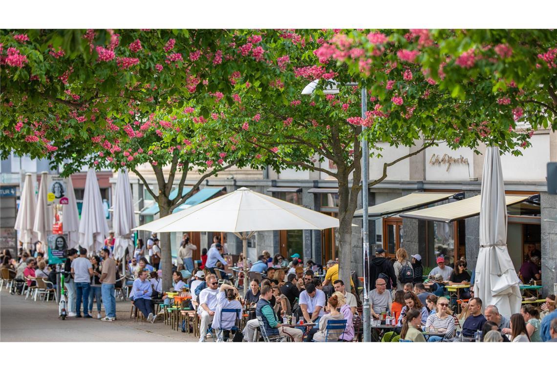 . .  . . . kann nur noch das richtige gastronomische Angebot und . . .