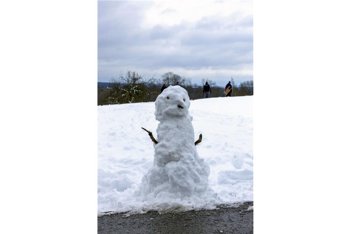 // Schlittenfahren bei Großerlach (Skihang)