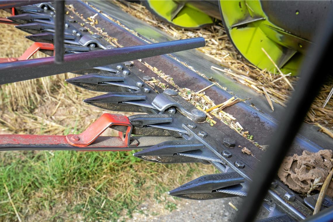 Der Herr der Halme Über 1100 Hübe pro Minute schafft das Schneidwerk. Foto: A. Becher