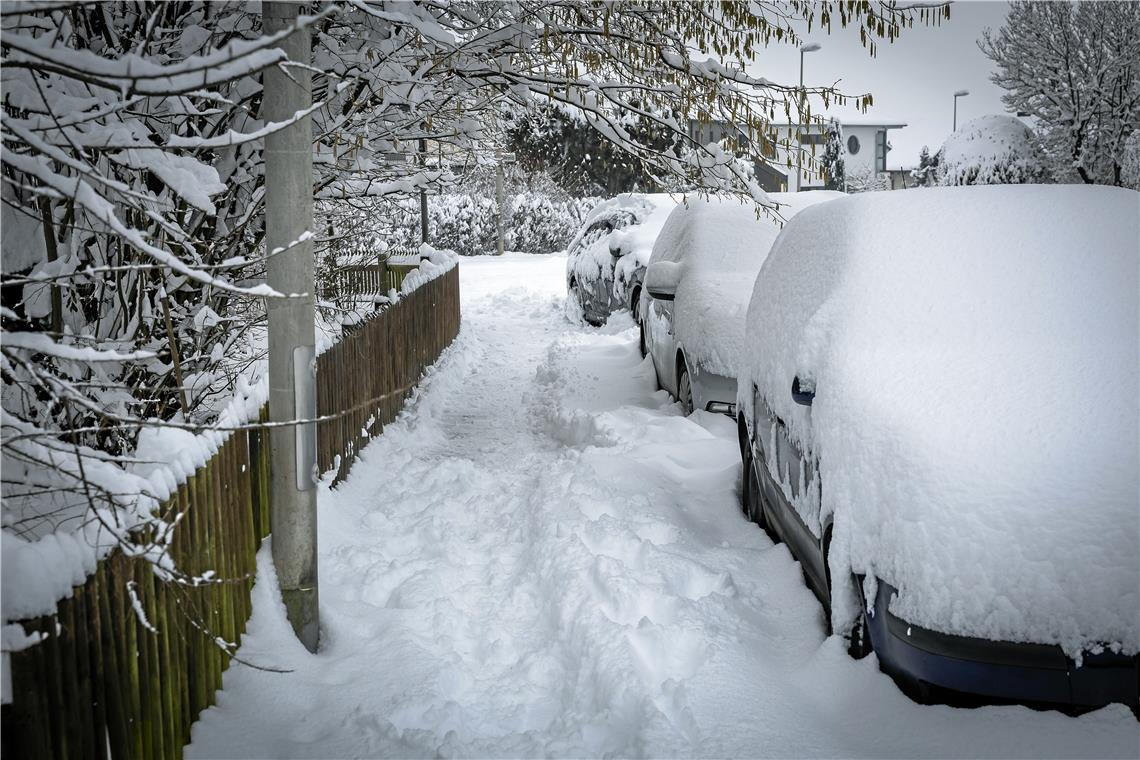 // über Nacht 20cm Neuschnee in Backnang, 26.01.2026