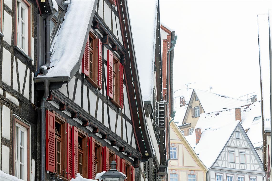 // über Nacht 20cm Neuschnee in Backnang, 26.01.2026