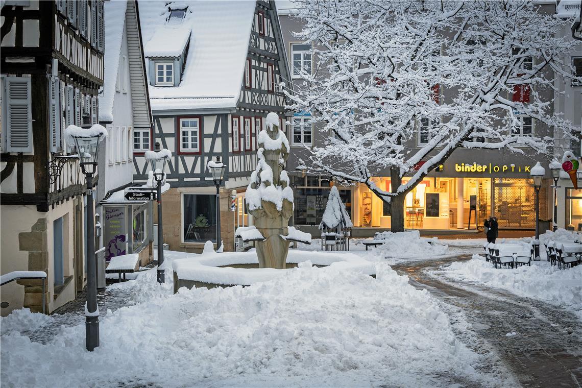 // über Nacht 20cm Neuschnee in Backnang, 26.01.2026