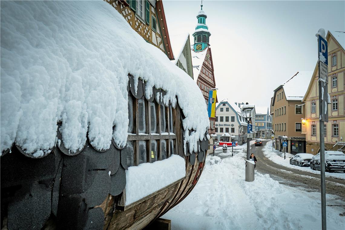 // über Nacht 20cm Neuschnee in Backnang, 26.01.2026
