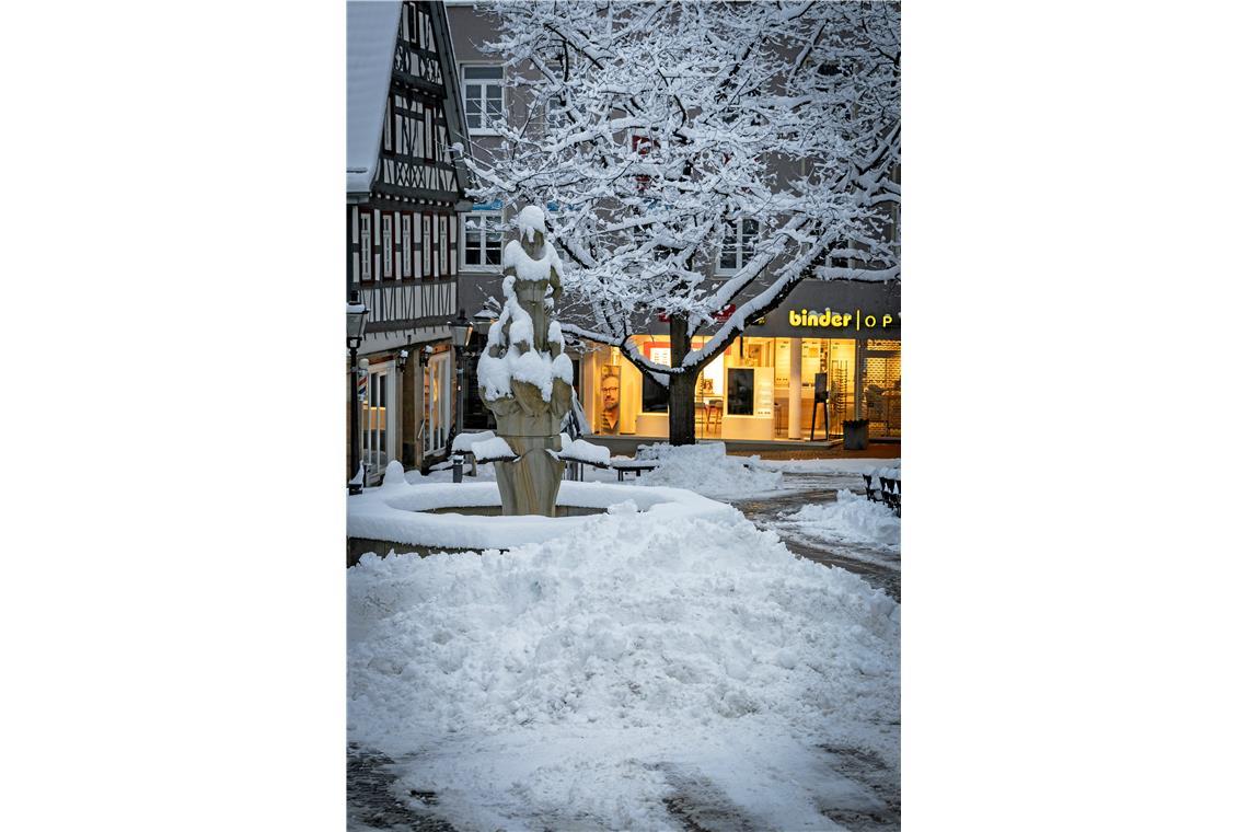 // über Nacht 20cm Neuschnee in Backnang, 26.01.2026