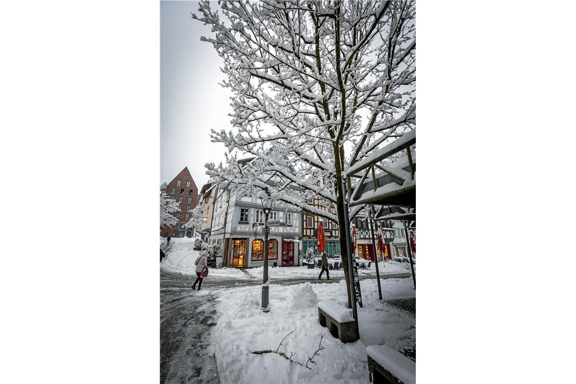 // über Nacht 20cm Neuschnee in Backnang, 26.01.2026