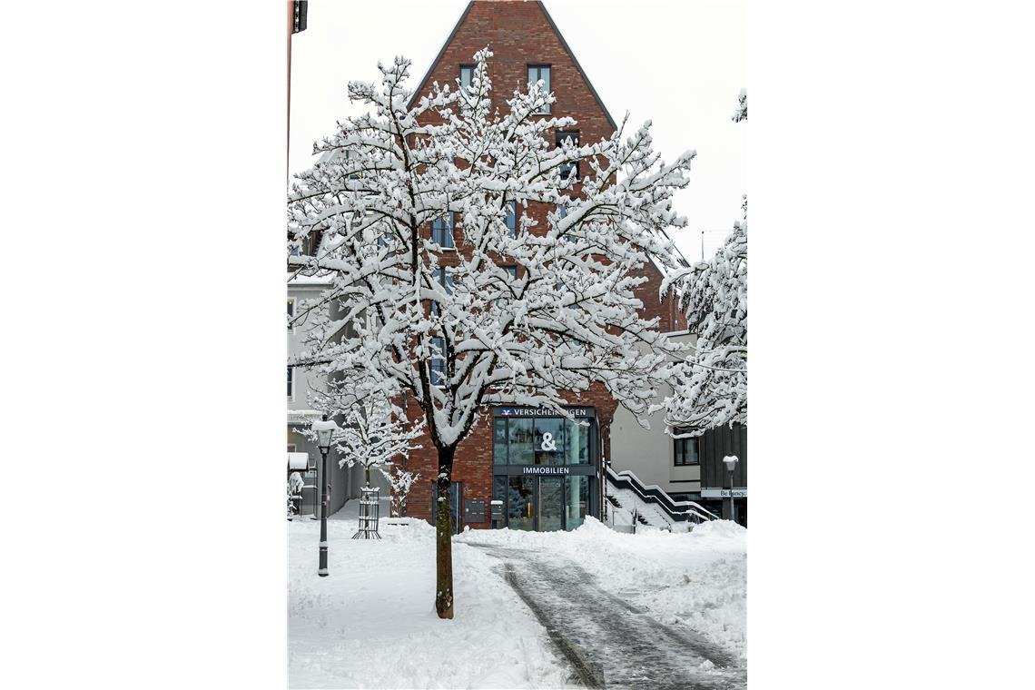 // über Nacht 20cm Neuschnee in Backnang, 26.01.2026