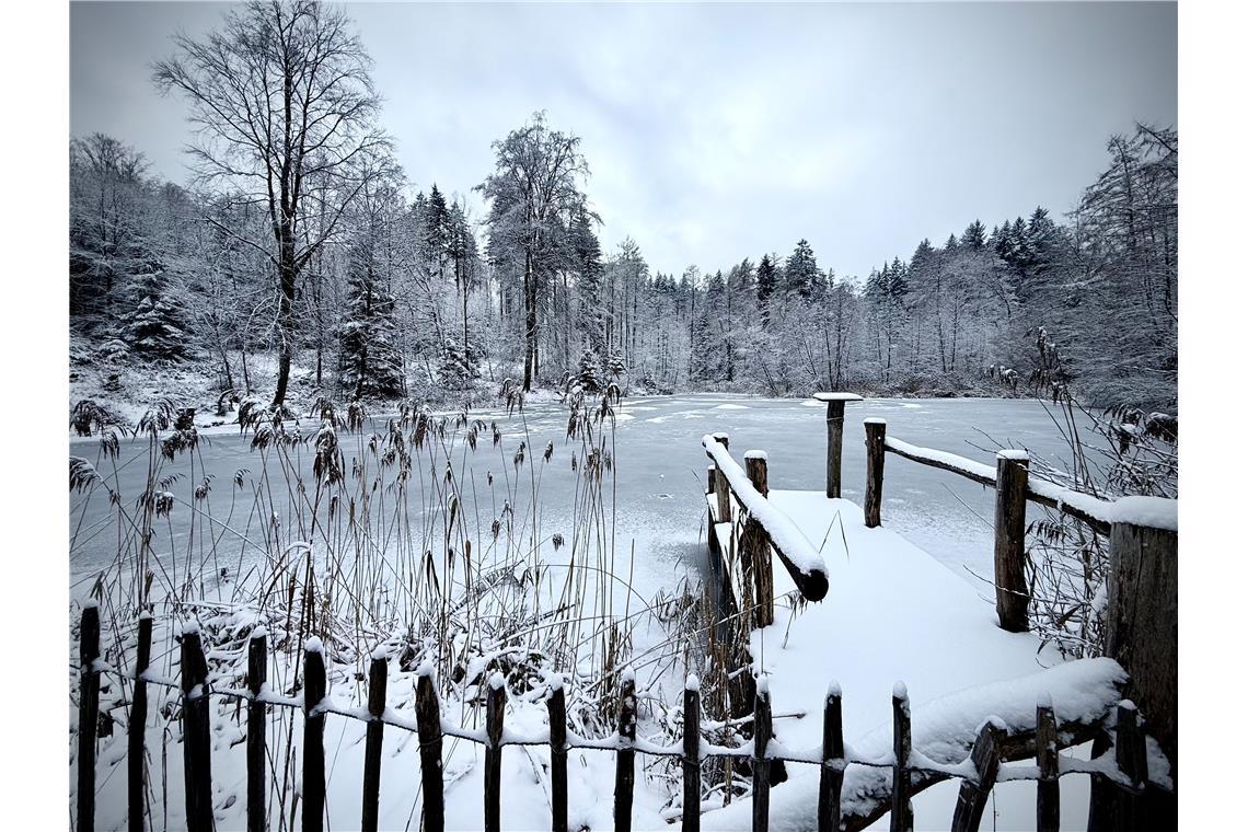  „Während du schaust, kann Ruhe wachsen“, schreibt Florian Waldenmeier zum gefro...
