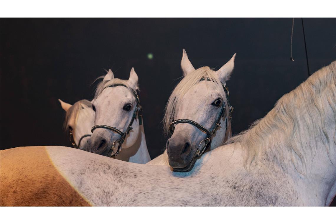 ... war zunächst unklar. (Archiv)