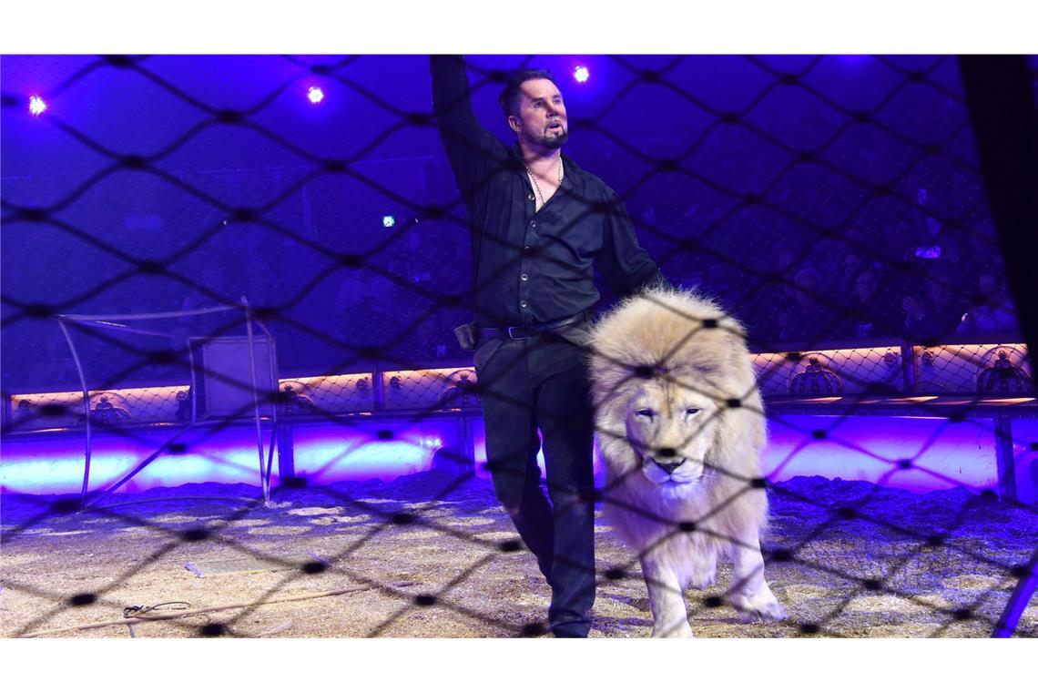 ... weil Wildtiere wie Löwen dort dressiert werden. (Archiv)