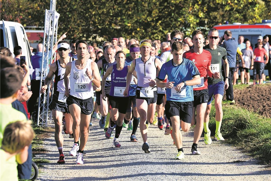 151 Sportler haben das Hauptrennen des Aspacher Volkslaufs über zehn Kilometer in Angriff genommen. Foto: T. Sellmaier