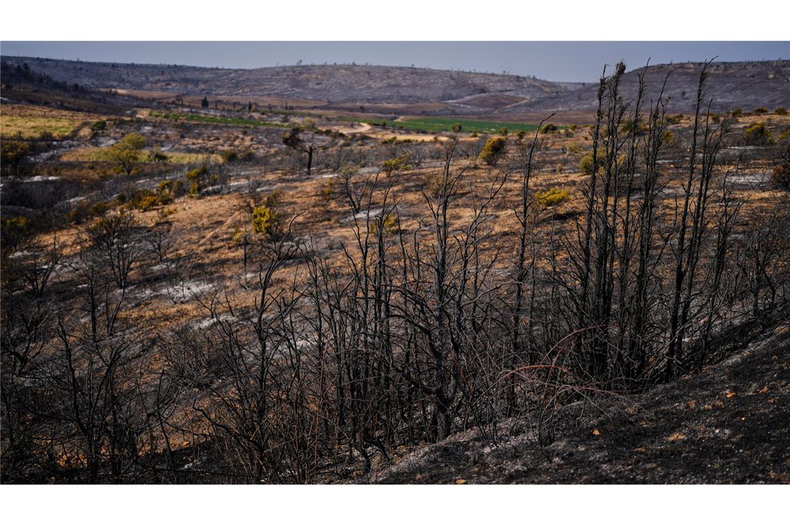 Größter Brand seit Jahrzehnten in Frankreich unter Kontrolle
