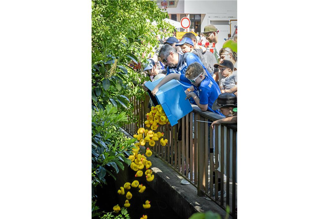 200 Enten landen gemeinsam in der Weißach - sowohl um 13 als auch um 15 Uhr. 