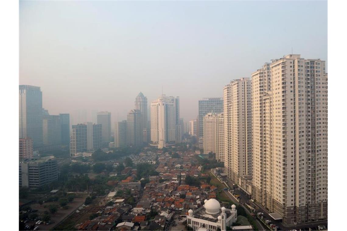 2024 sollen Regierung und Parlament aus Jakarta in die Nähe der Stadt Balikpapan im Osten von Borneo umziehen. Foto: Soeren Stache