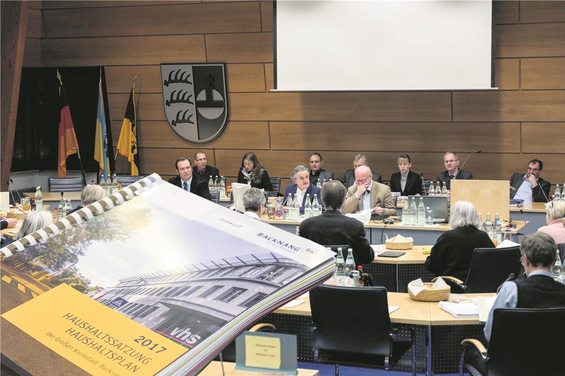 Mit der Harmonie könnte es bald vorbei sein 26 Sitze sind im Backnanger Gemeinderat zu vergeben. Die teilen sich zurzeit sechs Parteien und Wählervereinigungen.Archivfoto: E. Layher