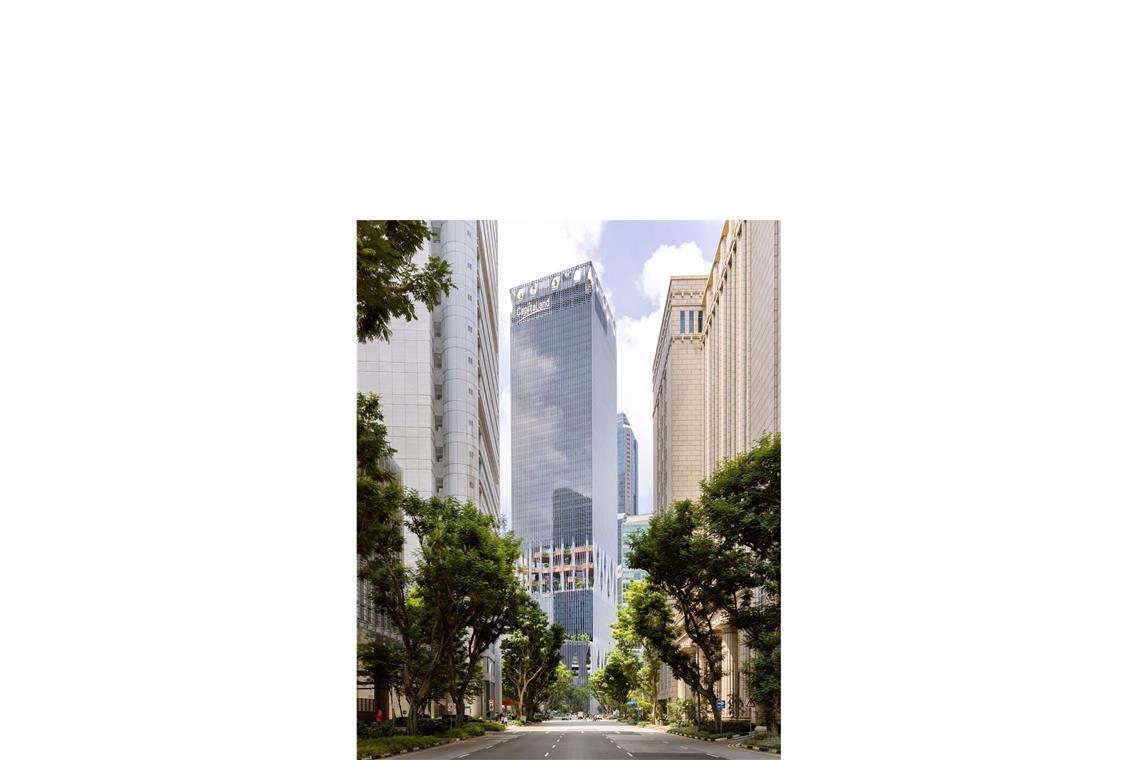 Das beste Hochhaus der Welt 280 Meter Höhe misst das beste Hochhaus der Welt 2024/2025 in Singapur. Insgesamt besitzt CapitaSpring 8300 Quadratmeter Grünfläche, was 140 Prozent der eigentlichen Grundstücksfläche entspricht. Der Internationale Hochhauspreis 2024/25 ist mit 50 000 Euro dotiert, das Preisgeld spendet der Bauherr an die CapitaLand Hope Foundation.