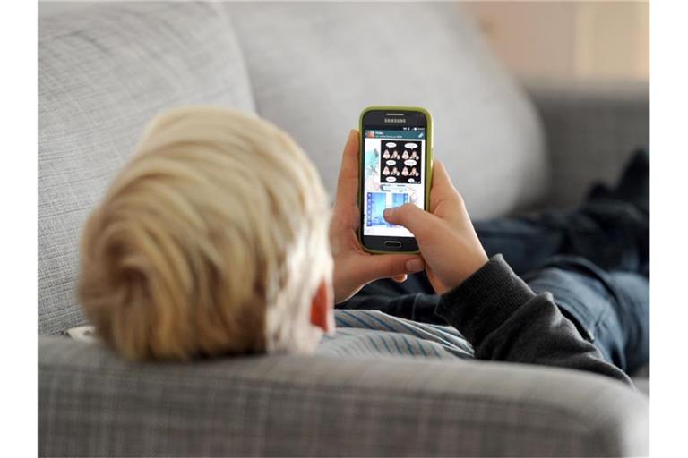 55 Prozent der Eltern berichten in einer Umfrage von schlechten Erfahrungen ihrer Kinder im Netz oder von übermäßiger Nutzung. Foto: Tobias Hase/dpa