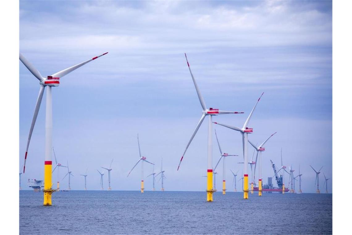 67 Prozent der Anleger ist es wichtig, ihr Geld in sozial- und umweltverträgliche Projekte zu investieren. Foto: Jens Büttner/dpa-Zentralbild/dpa