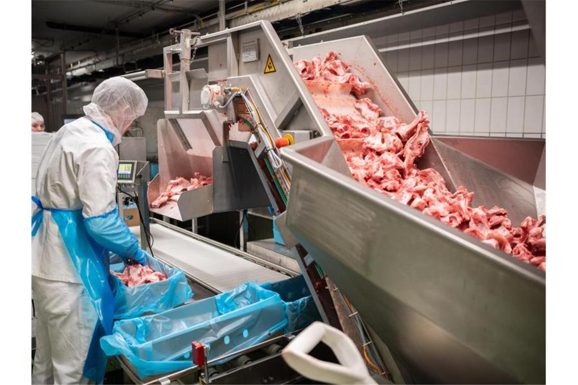 Kabinett beschließt schärfere Regeln für Fleischbranche
