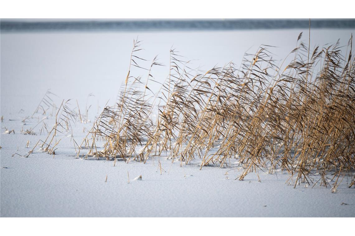 Ab der Nacht auf Freitag bestimmt das Sturmtief "Elli" das Wetter zum Großteil in Deutschland.