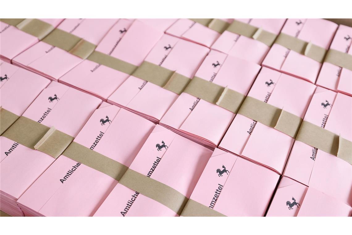 Ab sofort dürfen auch 16- und 17-Jährige den Landtag am 8. März wählen.