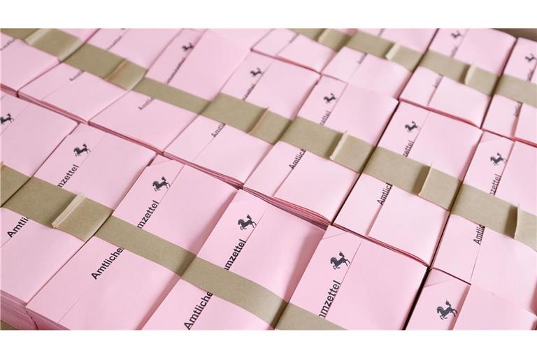 Ab sofort dürfen auch 16- und 17-Jährige den Landtag am 8. März wählen.