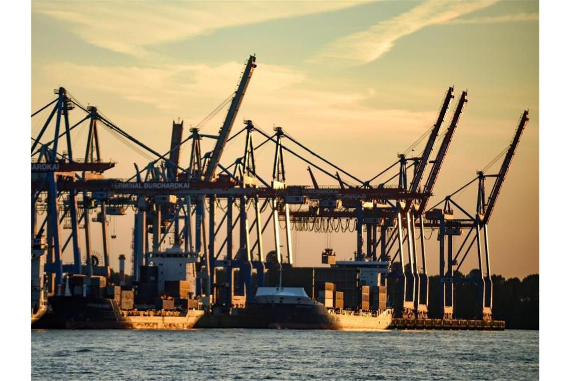 Abfertigung von Containerschiffen im Hamburger Hafen. Foto: Axel Heimken