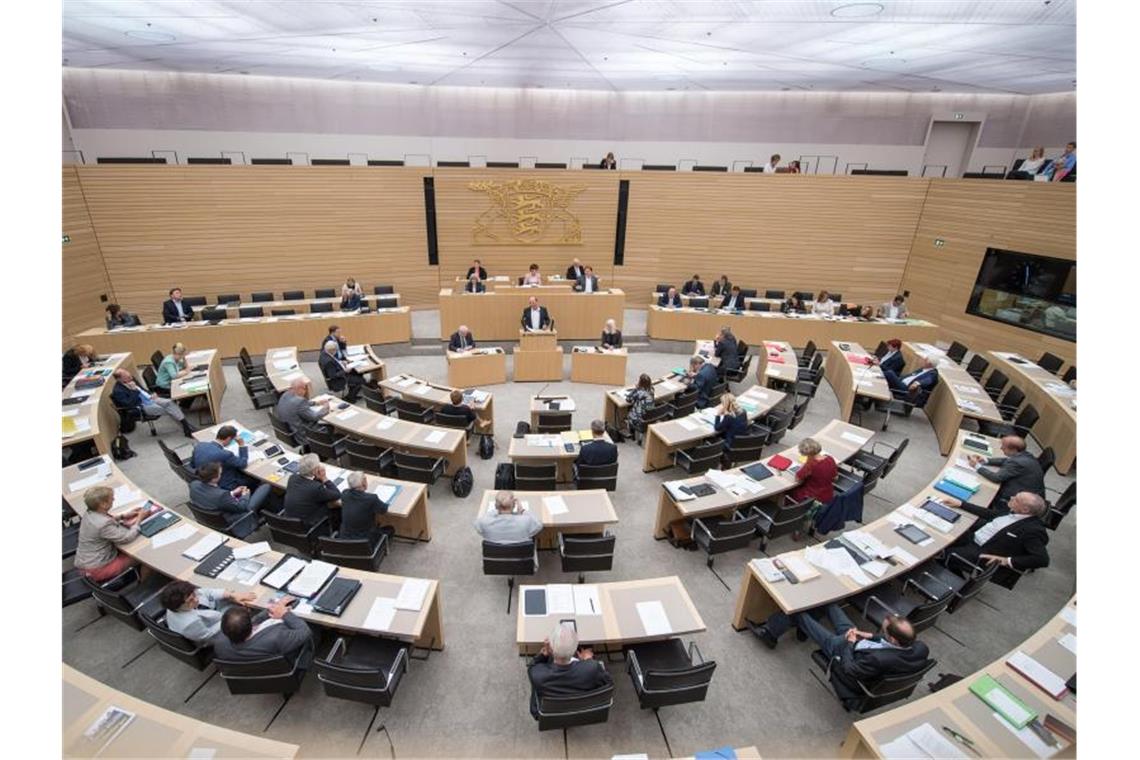Abgeordnete der Fraktionen sitzen im Landtag. Foto: Sebastian Gollnow/dpa