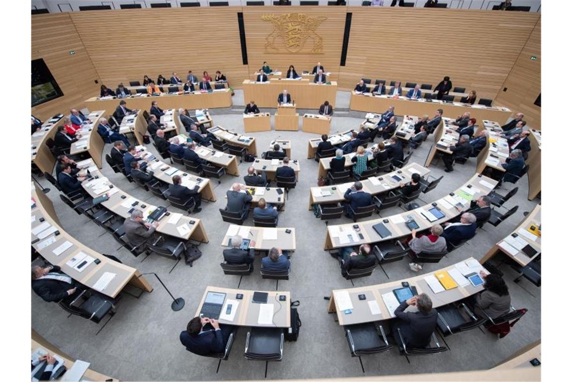 Abgeordnete sitzen auf ihren Plätzen im Landtag. Foto: Tom Weller/dpa/Archivbild/dpa