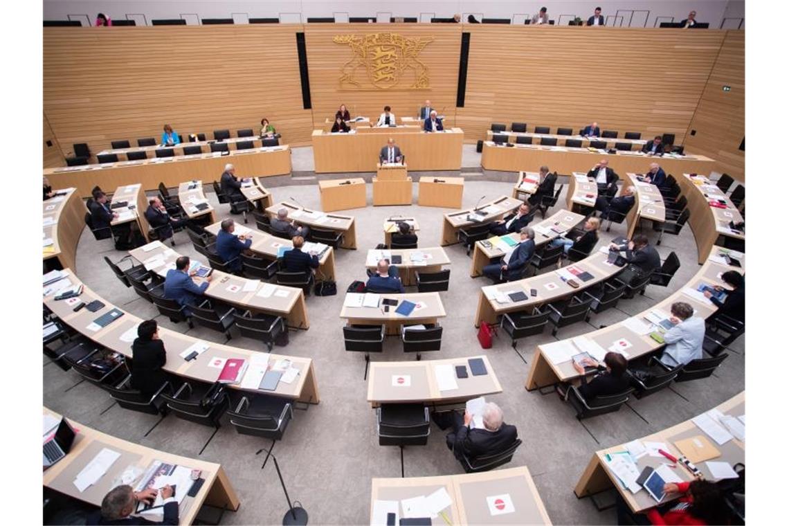 Abgeordnete sitzen während der 121. Landtagssitzung auf ihren Plätzen. Foto: Tom Weller/dpa/Archivbild